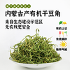 [产地直邮]有机干豆角||4袋/6袋   每袋55克  (内蒙 兴安盟) 商品缩略图0