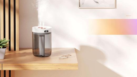 扬子 H8加湿器（双喷头） 商品图0