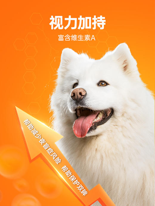 【49元任选3件】普安特猫咪维生素b防掉毛狗狗营养补充宠物用复合维生素片金维葆200片/1瓶（含量以及口味有所调整） 商品图4