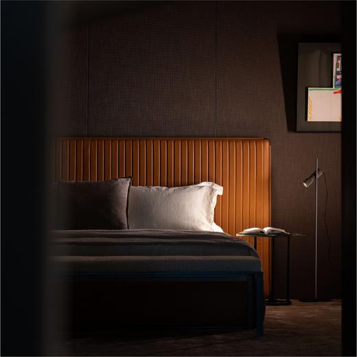 摩根猫王系列聚光落地灯 商品图11