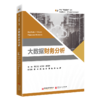 大数据财务分析 商品缩略图0