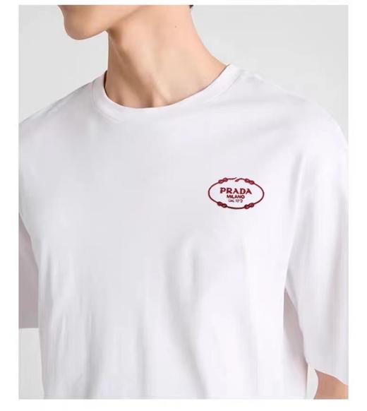 现货 PLD走秀系列蛇年限定款短袖  胸口刺绣蛇纹字母logo图案 商品图0