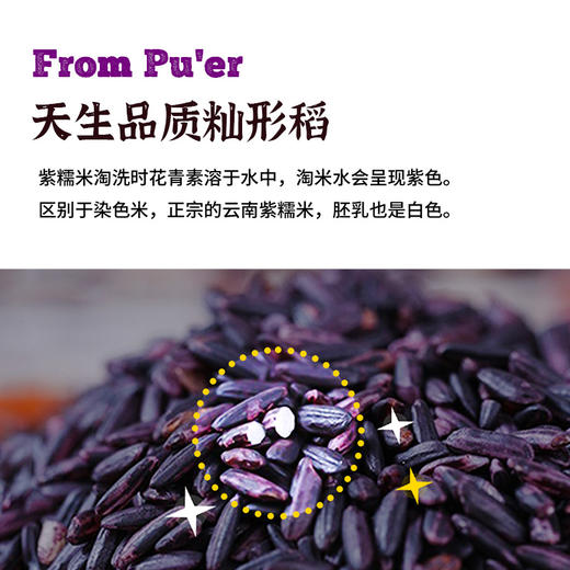 【普洱紫米】普洱紫米不染色头道紫米碎米少紫米露1kg 商品图3