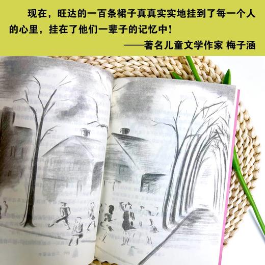 国际大奖小说--一百条裙子 注音版、非注音版 商品图3