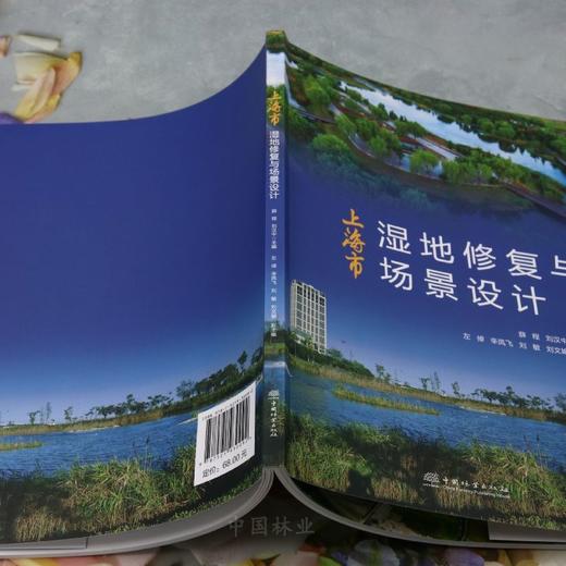 上海市湿地修复与场景设计 &3009 商品图2