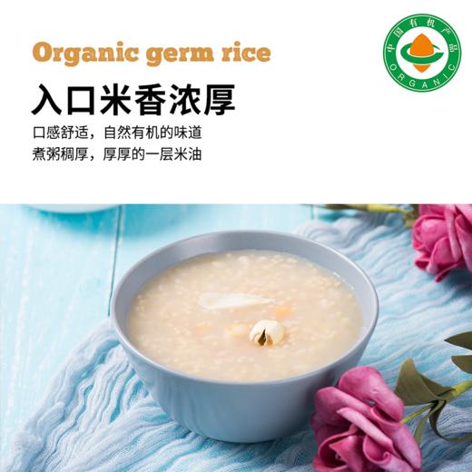 【有机胚芽米】1KG/袋|内蒙古产区全程可溯源谷物精华大米饭 商品图2