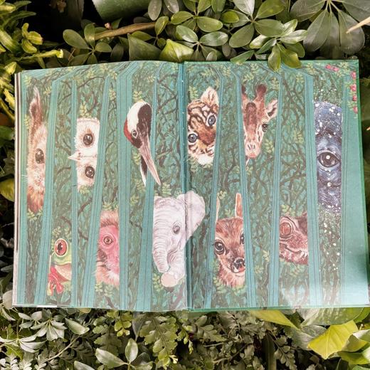 神秘岛  我的眼里有片森林   刘奔 著  薛紫琼 绘  荣获2021BIBF菠萝圈儿国际插画奖“中国原创奖” 商品图6