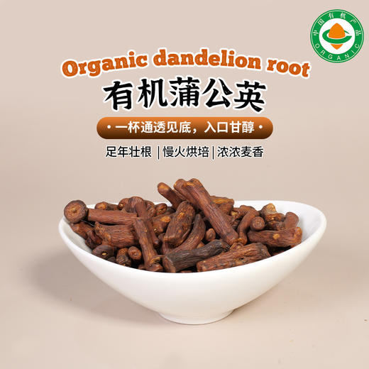 有机野生蒲公英根200g|长白山花草茶天然茶饮 商品图0