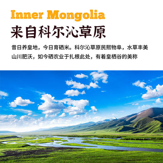 皇栖谷富栖黄小米扎赉特旗产浓稠辅食金黄米粥 商品图1