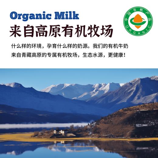 有机|青藏纯牛奶高端好喝全脂有机牛奶200克*10盒/箱儿童孕妇牛奶 商品图1