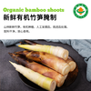 有机山野嫩笋200g|新鲜竹笋制作配料干净笋丝烹饪 商品缩略图1