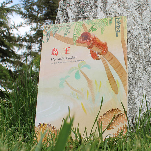 岛王：一段传奇的友谊！冒险小说 。梅子涵、语文报小学版主编、北京四中语文高级教师倾情推荐。 商品图7