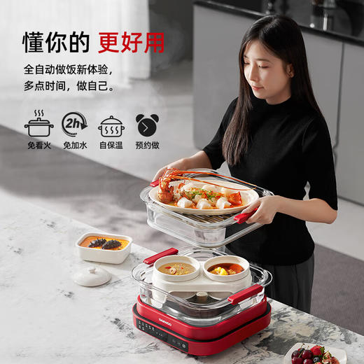 大宇多功能蒸炖料理锅S31 商品图4