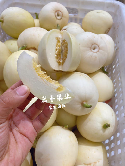 宏丰精选  本地梨瓜   口感脆甜  活动价5.8元一斤 商品图8