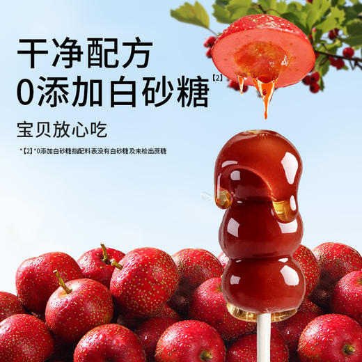 宝贝易餐山楂小葫芦108g 商品图2