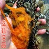 【都市惠独家】滋补佳品海参卵 被誉为海参皇后 商品缩略图1