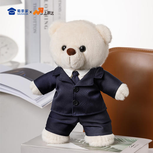 【实付满199送钥匙扣】【单位小熊】可定制创意毛绒职业小熊公仔儿童玩具服装可脱送礼礼物 商品图8