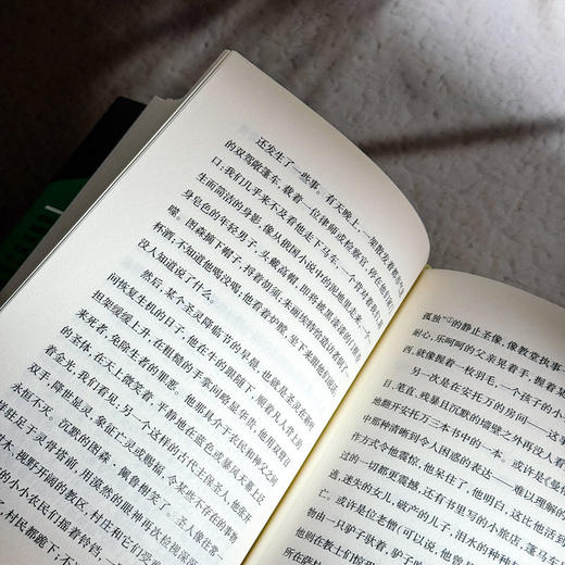 微渺人生 传记式虚构系列 皮埃尔·米雄成名作 法国文学 六点图书 商品图11