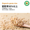 【有机胚芽米】1KG/袋|内蒙古产区全程可溯源谷物精华大米饭 商品缩略图3