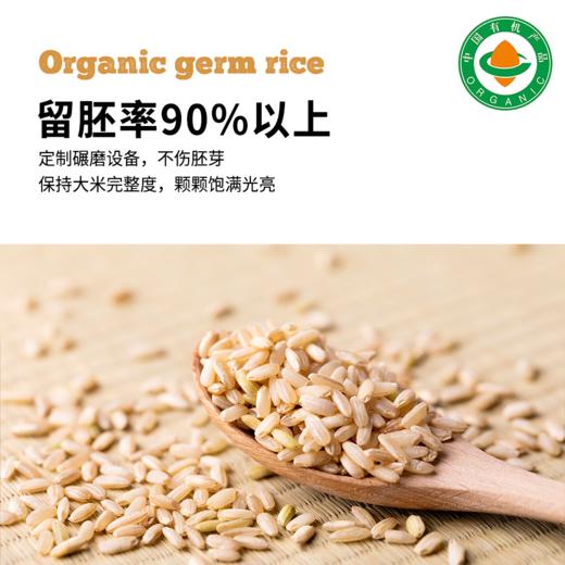 【有机胚芽米】1KG/袋|内蒙古产区全程可溯源谷物精华大米饭 商品图3