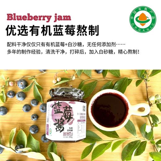 蓝莓山|有机蓝莓酱200克早餐涂抹面包沙拉拌酸奶有机认证蓝莓酱 商品图3