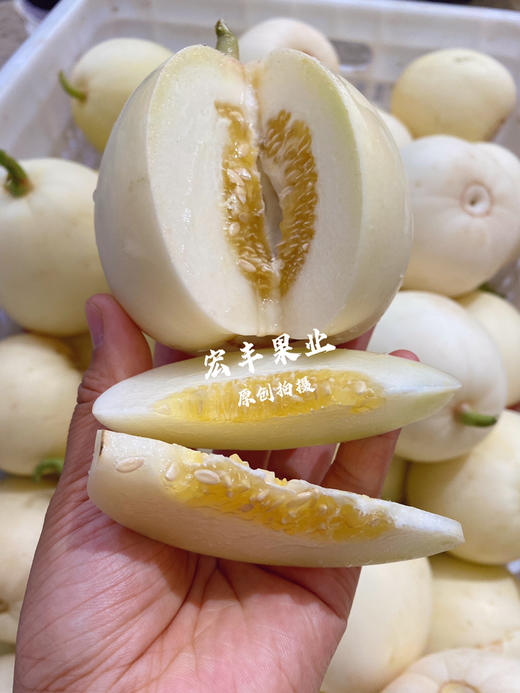 宏丰精选  本地梨瓜   口感脆甜  活动价5.8元一斤 商品图9