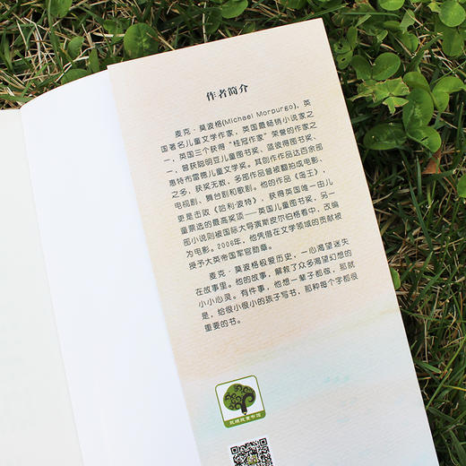 岛王：一段传奇的友谊！冒险小说 。梅子涵、语文报小学版主编、北京四中语文高级教师倾情推荐。 商品图10