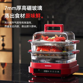 大宇多功能蒸炖料理锅S31