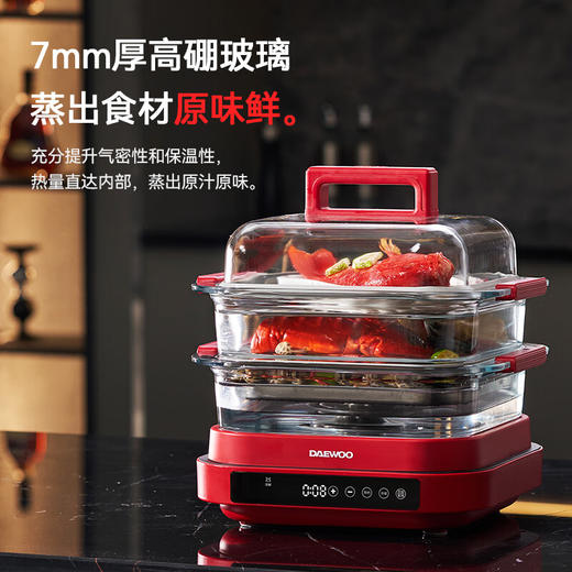 大宇多功能蒸炖料理锅S31 商品图0