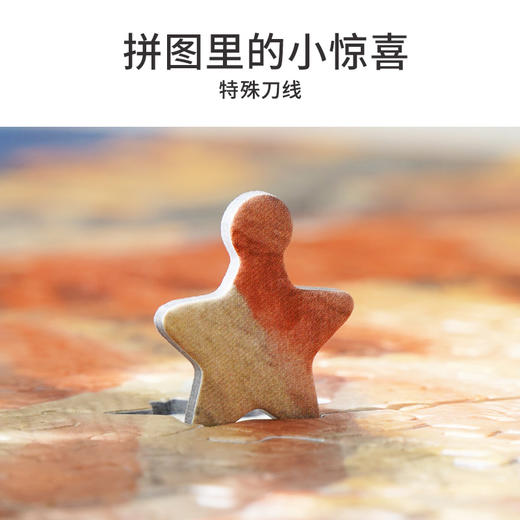 TOi图益-潮玩拼图摄影系列-七彩丹霞-1000片-分包款 商品图5