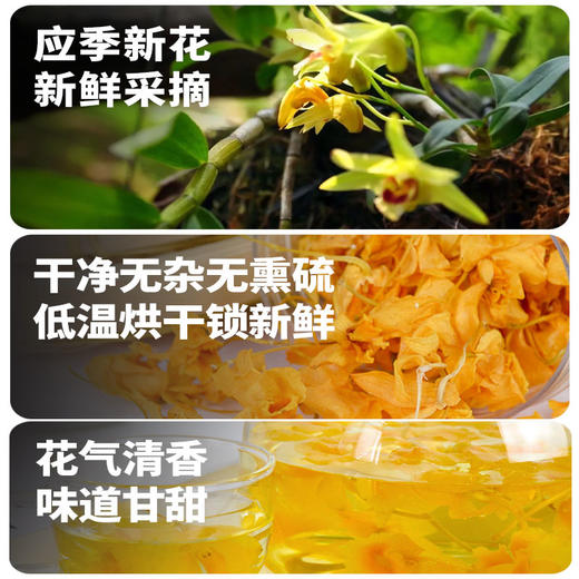 在菌屋 正宗霍山石斛花鼓槌花25g/瓶 汤色淡黄清香 营养丰富 商品图5