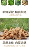 野生鸡头黄精  //  58元一斤包邮  //  明月 商品缩略图4