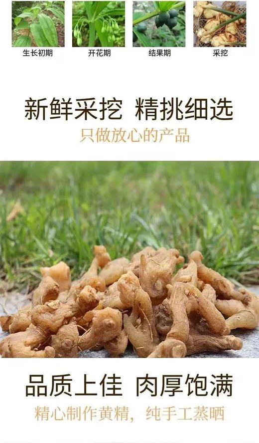 野生鸡头黄精  //  58元一斤包邮  //  明月 商品图4