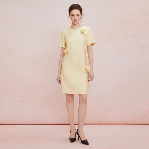 QF860斯尔丽2025夏季新款立体盘花直身显瘦圆领宴会小礼服连衣裙 商品图8