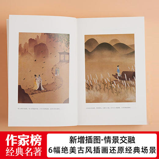 《骆驼祥子+儒林外史》全2册 对命运的抗争以及梦想的追逐 是值得广大青少年阅读的励志经典佳作 写透古代官场的百科全书式小说 商品图4