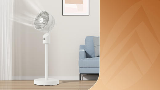 先锋 DXH-S19电风扇（机械循环扇） 商品图0