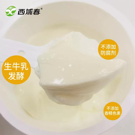 新疆西域春奶皮子酸奶杯装风味发酵乳130克低温酸奶 商品图2