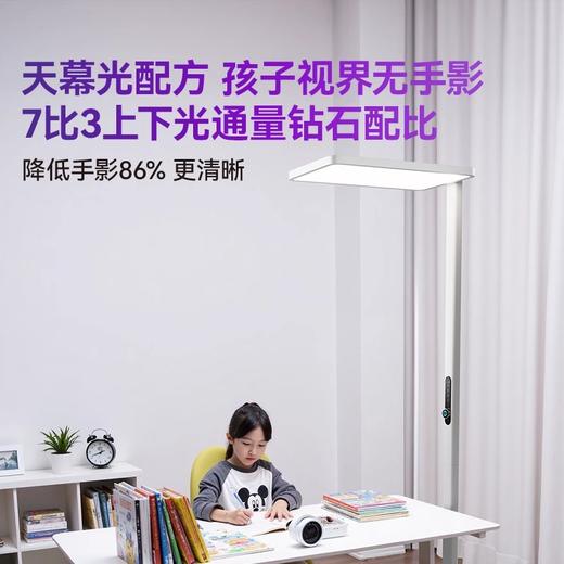 【优惠换购】LUUGAA鹿家良品爱因精灵护眼大路灯 商品图1