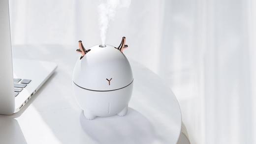 扬子 M2加湿器 商品图0