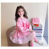 裁缝学苑TQ161女童连衣裙新款洋气时髦高级女孩宝宝儿童春装公主裙子 商品缩略图7