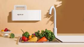 先锋 DJH-J01R果蔬净化机