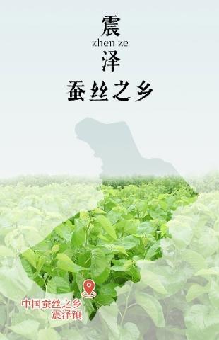 【太湖雪·福禄满堂】秋丰白玉 100%桑蚕丝长丝被｜轻盈入梦无压深眠 丝绸博物馆联名 商品图3