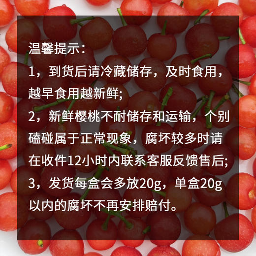 生态小樱桃 | 合作生产*Ecological cherry | Partner Production 商品图1