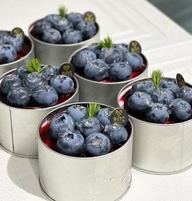 蓝莓慕斯盒子