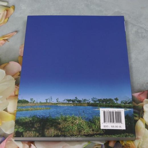 上海市湿地修复与场景设计 &3009 商品图1