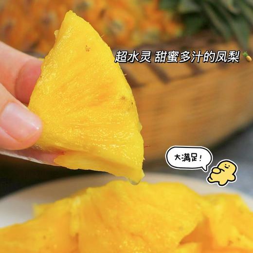 【芒果凤梨】真正树上熟的凤梨,一口咬下去，嘴里就被果肉和果汁填满90%的可食用率,它历经600多天才成熟!吃起来是凤梨界望尘莫及的19度+高甜! 商品图1