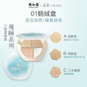 彩棠三色遮瑕盘脸部遮斑点痘印黑眼圈法令纹持久提亮