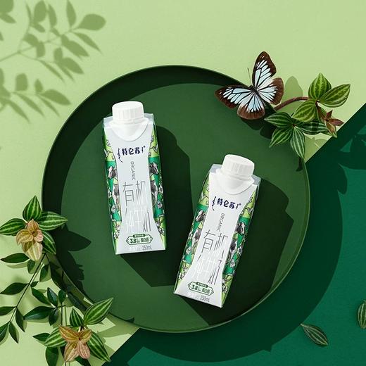 特仑苏有机纯牛奶 3.8g蛋白质 250ml*10/箱【2箱十堰主城区包邮】 商品图1