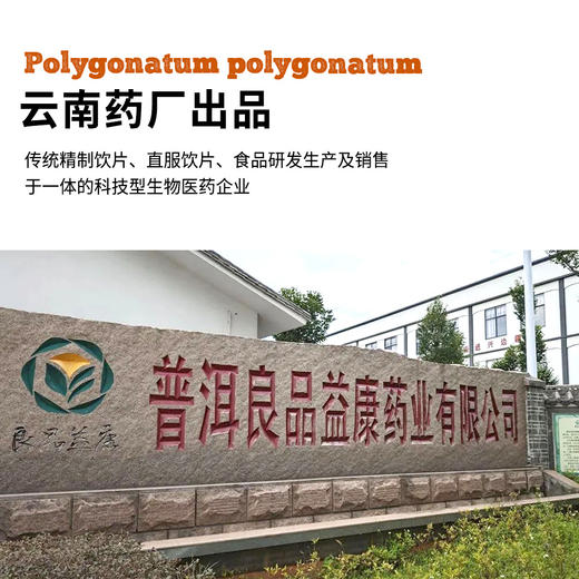 云南九蒸九晒滇黄精——云南药厂生产|饮片级别 商品图6