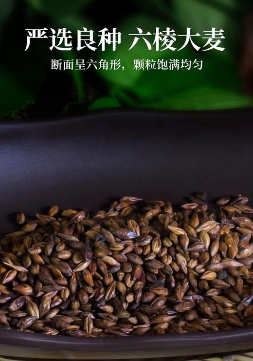 日本进口伊藤园大麦茶泡茶烘焙型麦子茶冷热兼用麦茶405g/袋（54小包） 商品图10